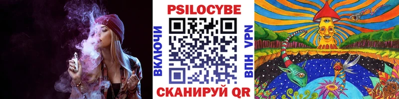 Псилоцибиновые грибы мицелий  Мегион 